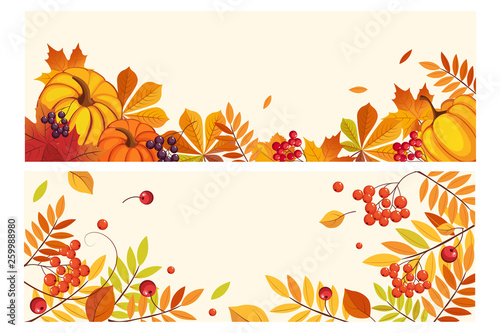 Thanksgiving background with space for text, horizontal banners with orange pumpkins, leaves of maple and rowan vector Illustration