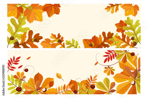 Thanksgiving background with space for text, two horizontal banners with leaves of maple, oak and rowan vector Illustration