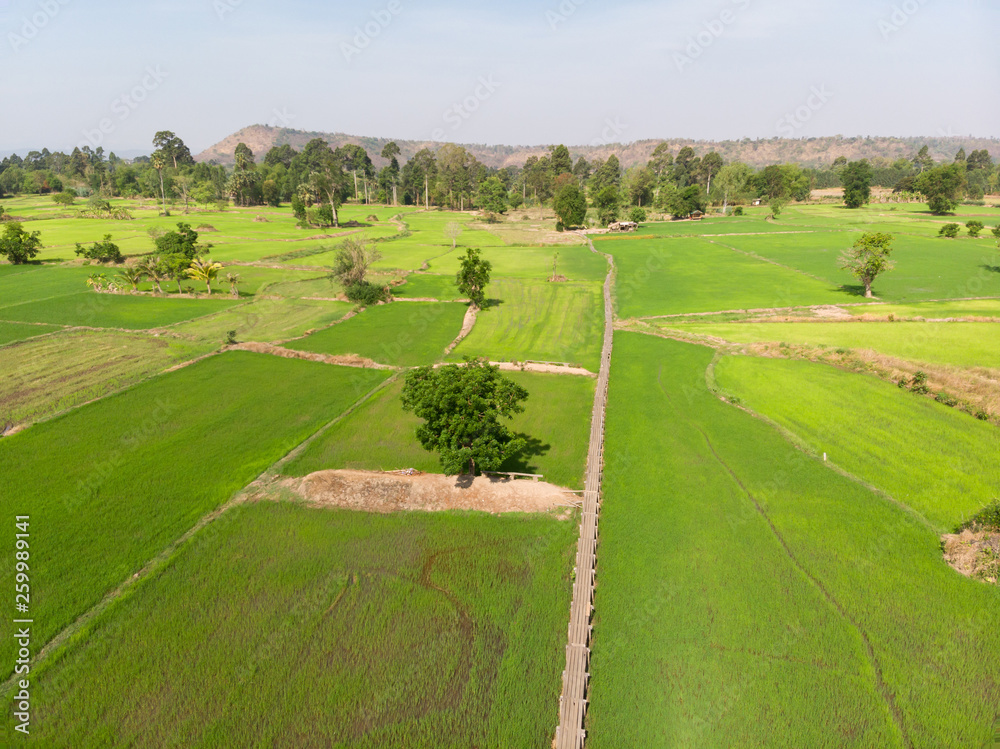 Drone shot aerial view scenic landscape of Vintage wooden bridge in the rice field at the countryside