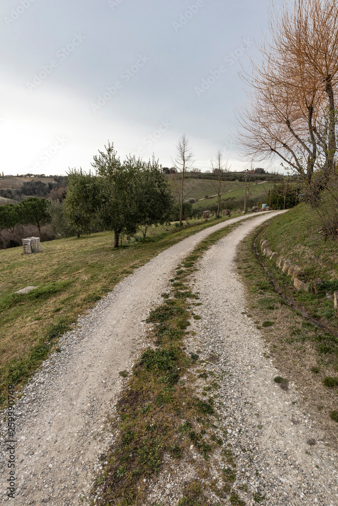 Gravel path on a rural landscape in Tuscany, Italy