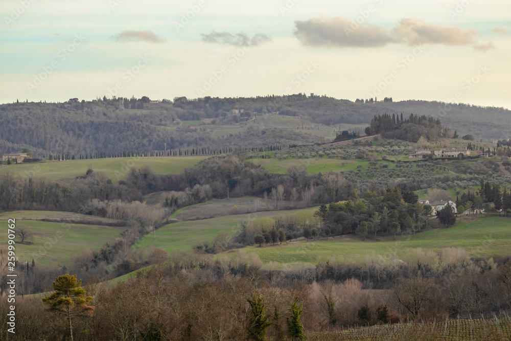 Forest hill Tuscany rural landscape countryside