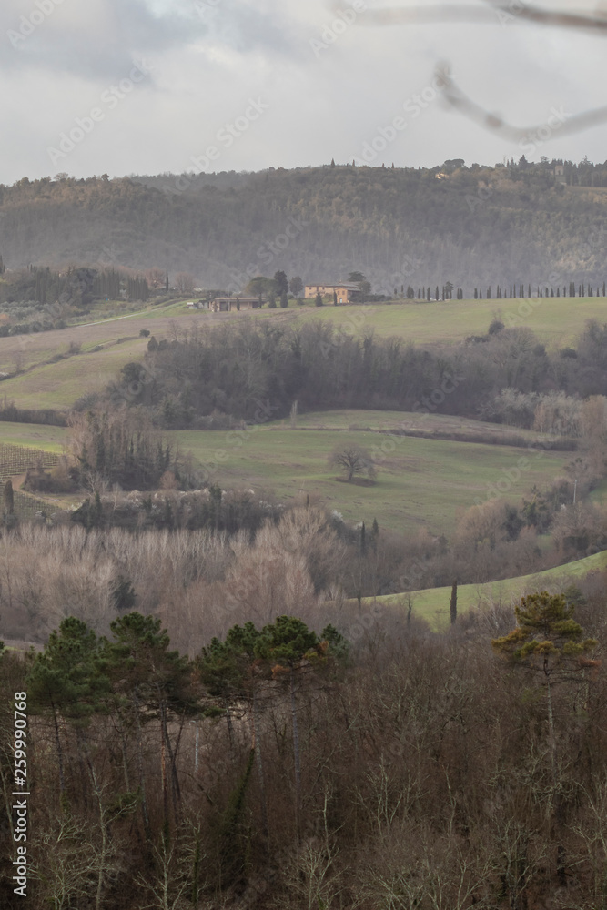 Forest hill Tuscany rural landscape countryside