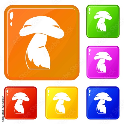 Good mushroom icons set collection vector 6 color isolated on white background