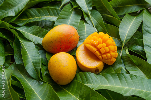Ripe yellow mango fruit on green leaf background