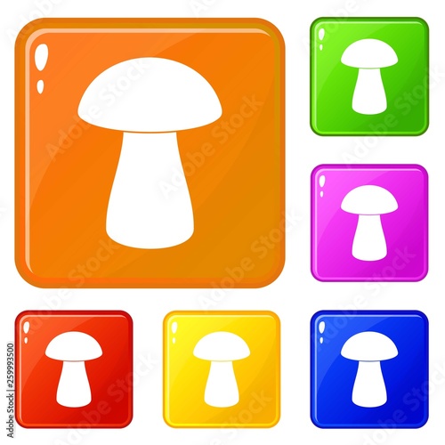 Fungus boletus icons set collection vector 6 color isolated on white background © ylivdesign
