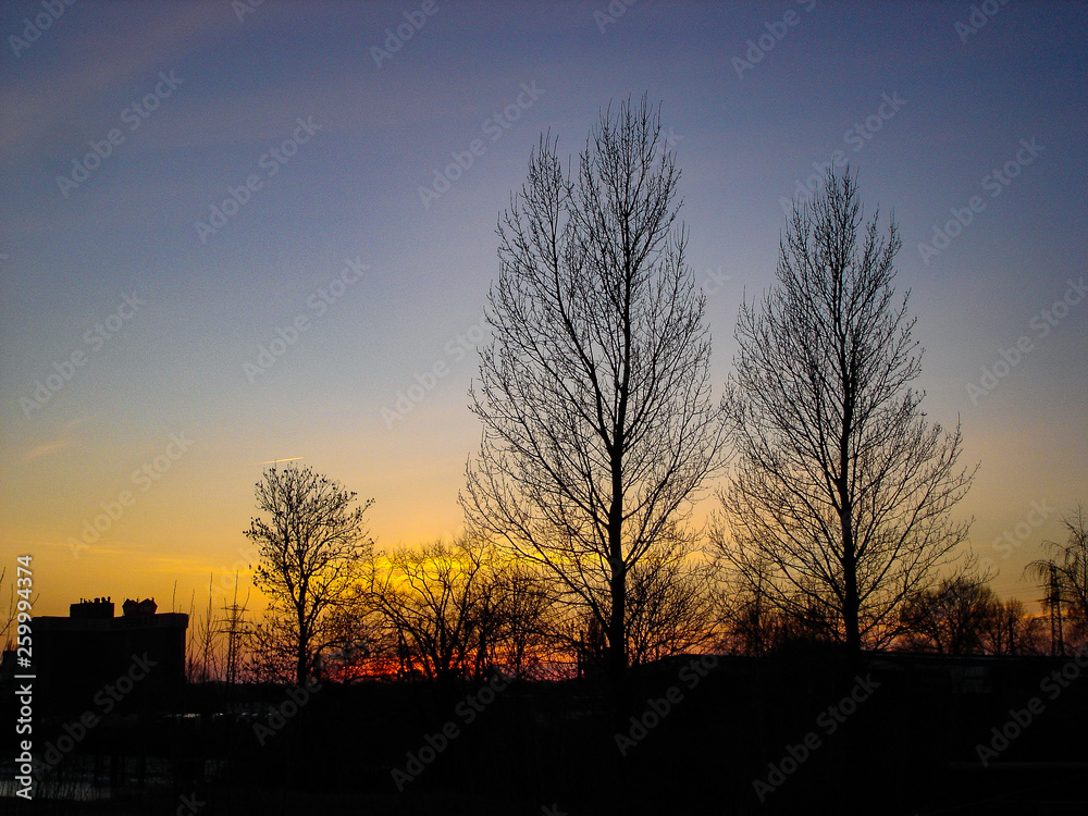 A colorful sunset behind trees and houses