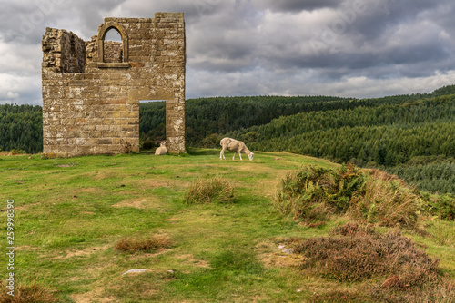 North York Moors landscape, looking at Skelton Tower, seen from the Levisham Moor, North Yorkshire, England, UK photo