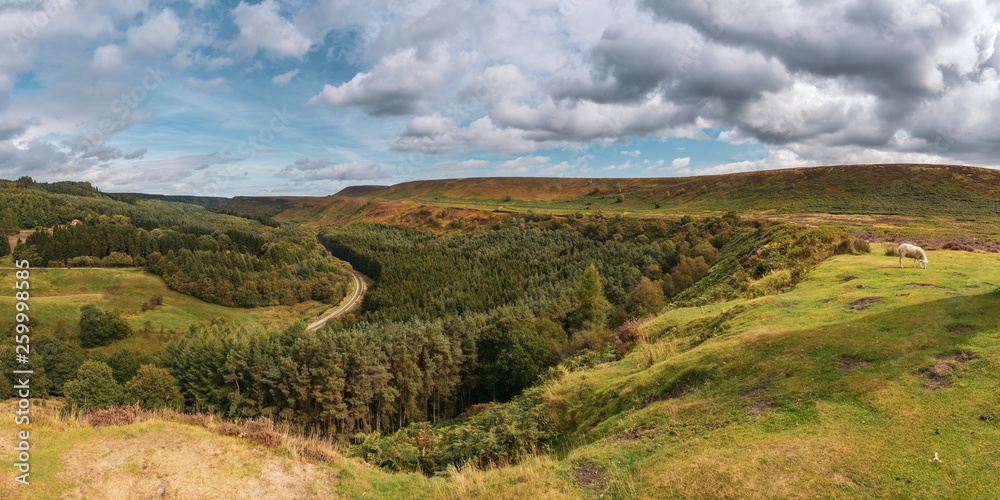 North York Moors landscape in Newtondale, seen from the Levisham Moor, North Yorkshire, England, UK