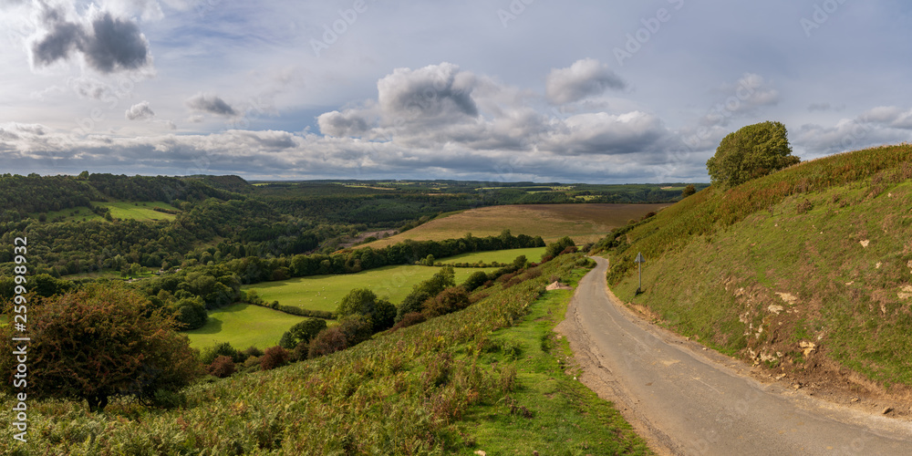North York Moors landscape, at the Levisham Moor, North Yorkshire, England, UK