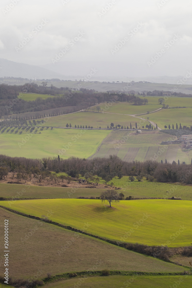 Isolated tree in the middle of green meadows and fields on a cloudy sky in Tuscany, Italy