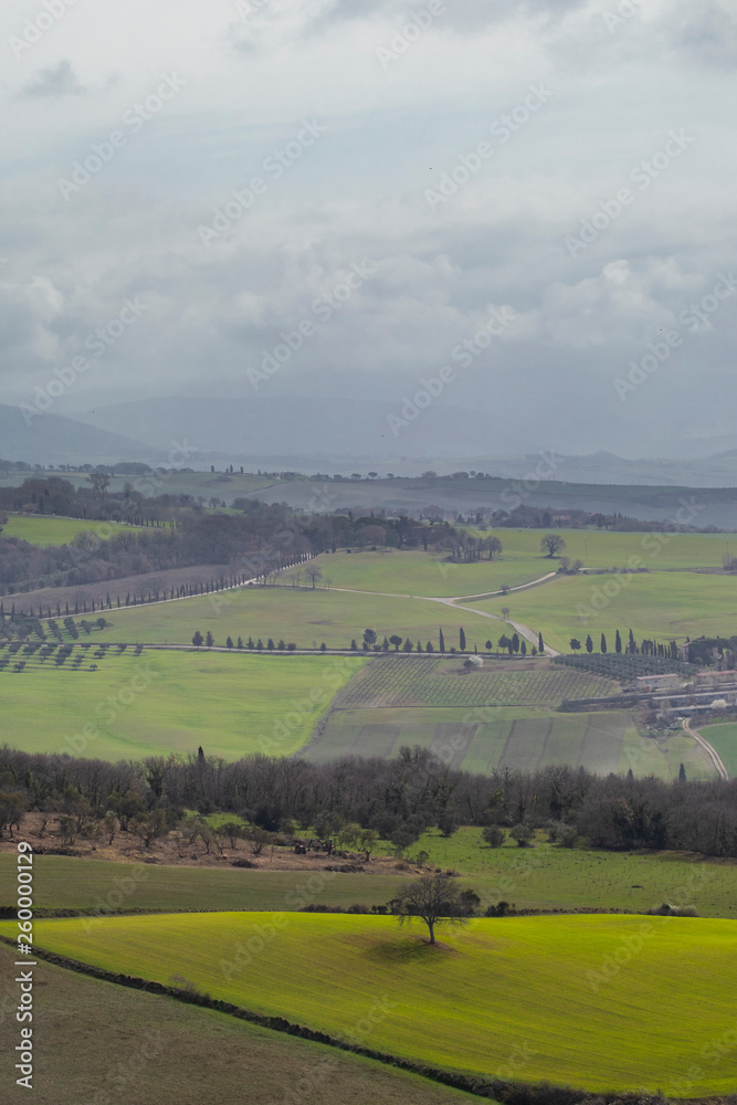 Isolated tree in the middle of green meadows and fields on a cloudy sky in Tuscany, Italy