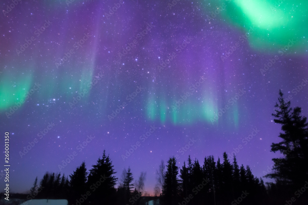 Naklejka premium オーロラ