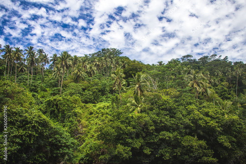 Obraz premium A stunning areal view with palms in tropical Samoa, Upolu, Pacific island