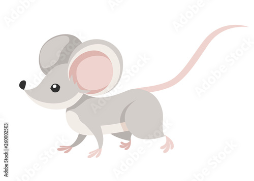 Cute little gray mouse walk. Cartoon animal character design. Flat vector illustration isolated on white background