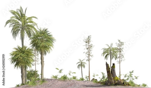 Foto Trees of the mesozoic era isolated on white background 3D illustration