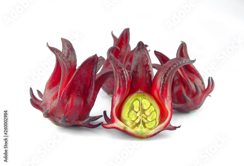 roselle flower on white background