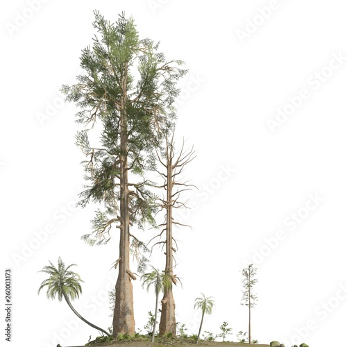 Trees of the mesozoic era isolated on white background 3D illustration