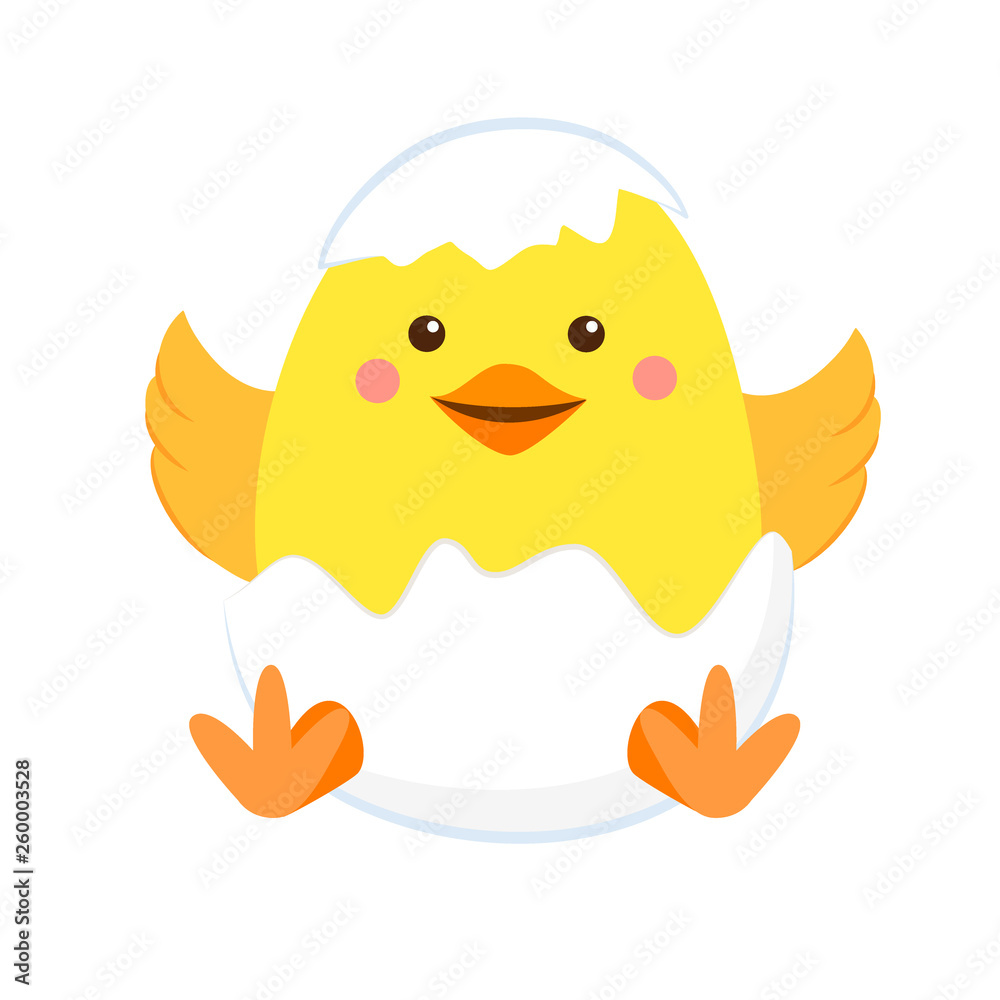 Newborn yellow chicken in the shell