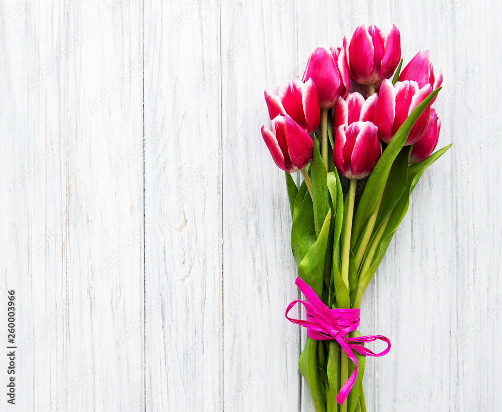 Pink spring tulips Pink spring tulips