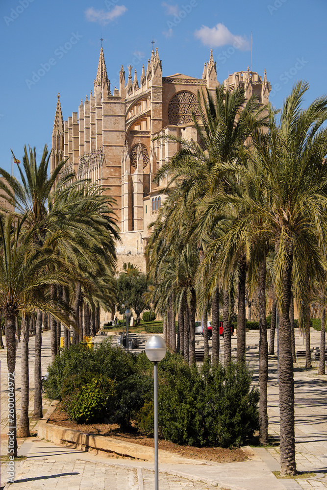 Palma de Mallorca, Spain - March 24, 2019 : end view of the famous gothic cathedral Santa Maria La Seu with palm tree garden in the foreground