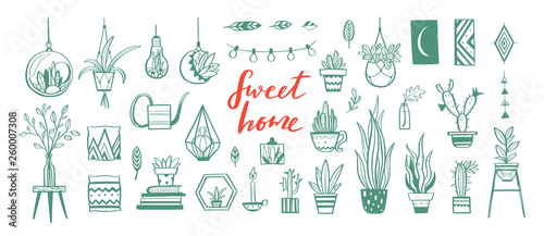 Home decor and House plants vector hand drawn set. Home decorations and interior design elements.Isolated boho and scandinavian cartoon sketches