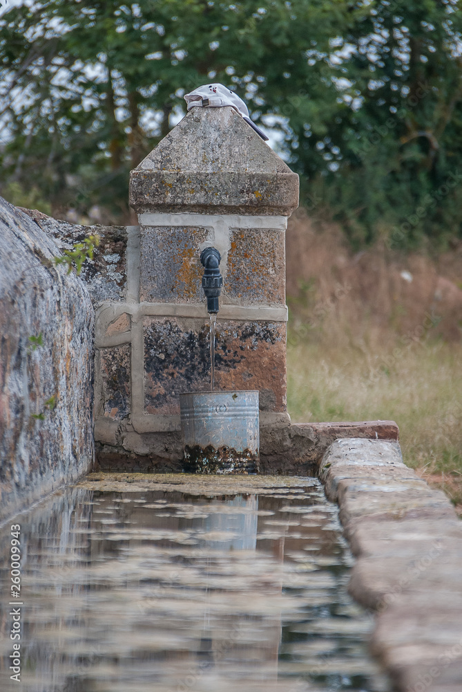 Obraz premium Drinking trough or typical pilon in the national park of Fuentes Carrionas. Palencia