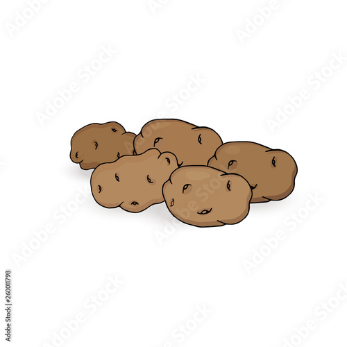 Tubers of potatoes on a white background. Vector illustration