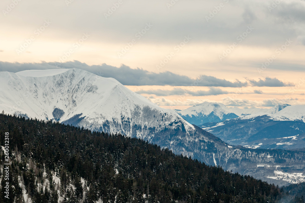 Obraz premium montage