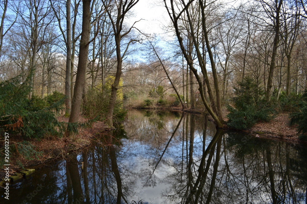 The picturesque river. Spring. Trees