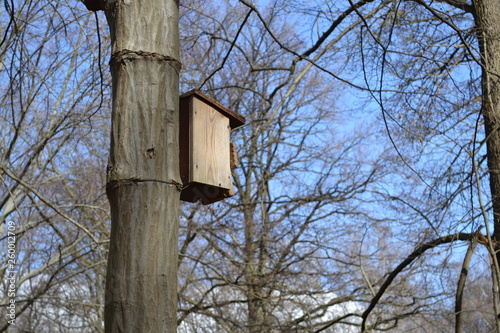 Birdhouse on a tree