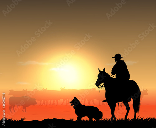 cowboy with herd © ilya