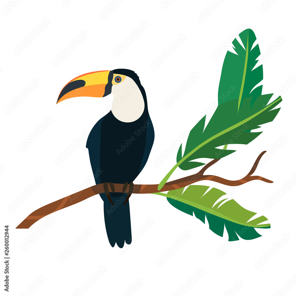 Fototapeta premium Vector illustration of a toucan sitting on a branch with leaves isolated on a white background.