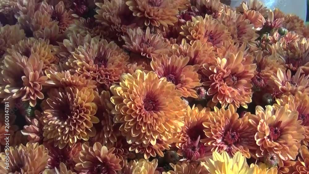 Purple and Orange Floral Arrangements Shown in a Slow Pan Purple and Orange Floral Arrangements Shown in a Slow Pan