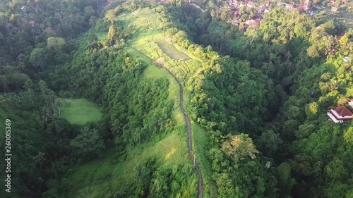 Drone flying over Campuhan Ridge Walk, sunrise in Ubud Bali, Indonesia photo