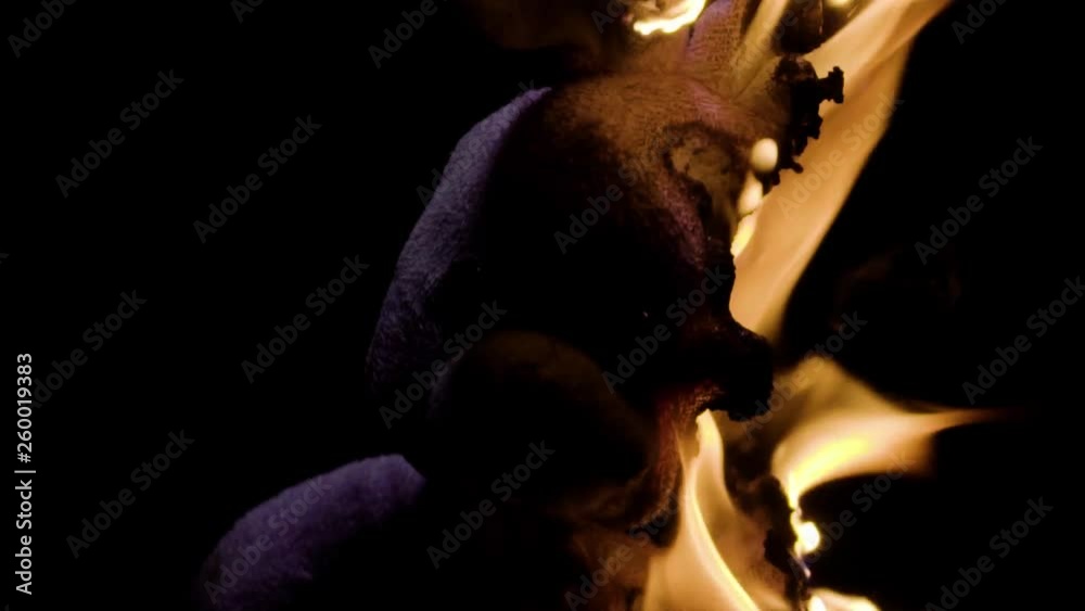 A teddy rabbit burning on a black background