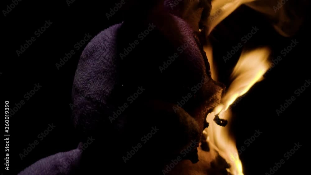 A Teddy Rabbit on fire