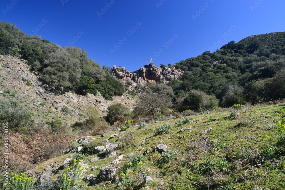 Il bosco di Tuviois Il bosco di Tuviois