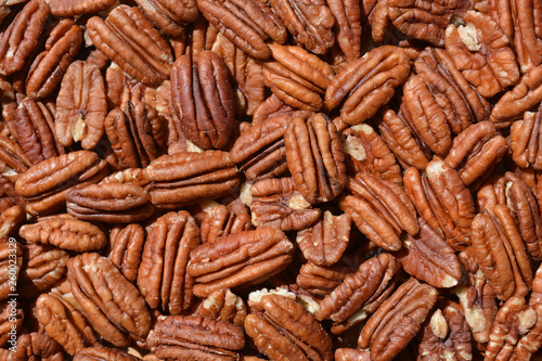 background of pecan nuts photo