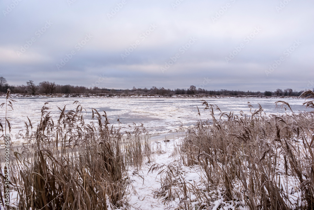 The frozen river. The reeds.