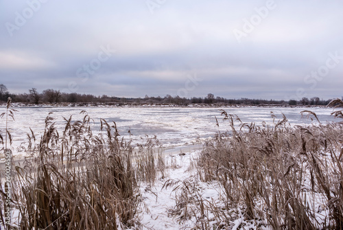 The frozen river. The reeds.