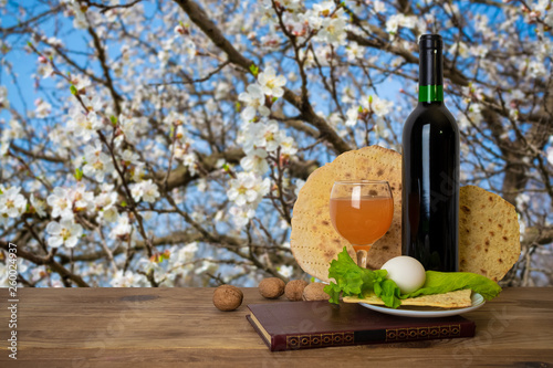 Fototapeta Naklejka Na Ścianę i Meble -  Pesach celebration concept. bottle of wine, book, matzo, egg, cider and lettuce on spring background