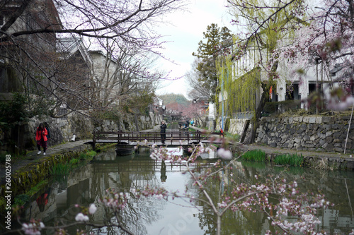 滋賀県近江八幡市の八幡堀の風景