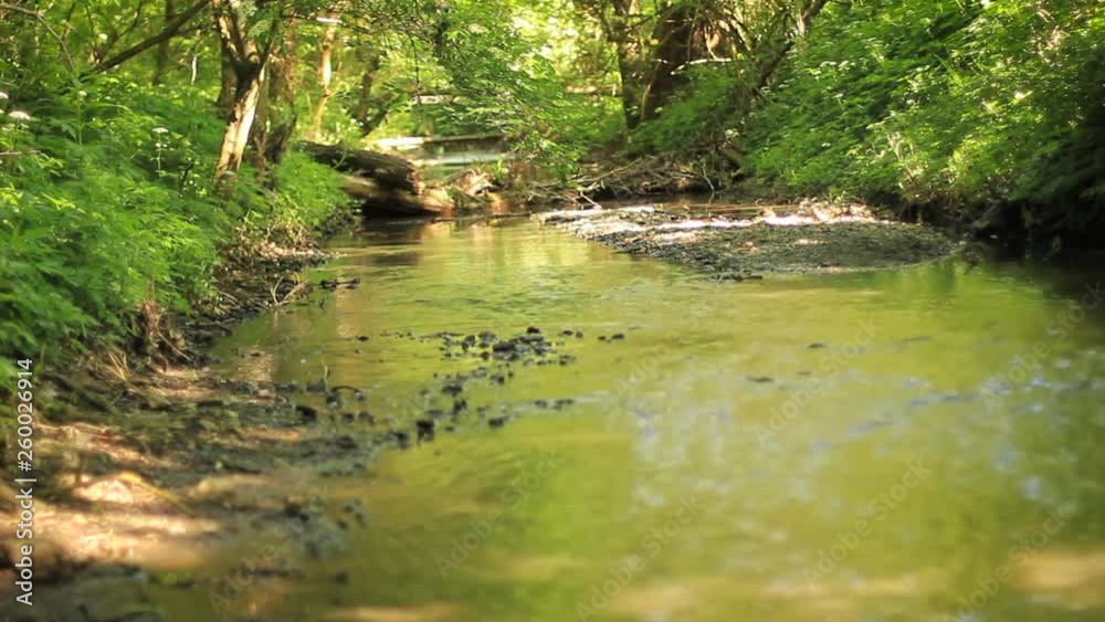 Hungarian river surrounded with rocks, hidden in the forest. Calm, sunny day. Hungarian river surrounded with rocks, hidden in the forest. Calm, sunny day.
