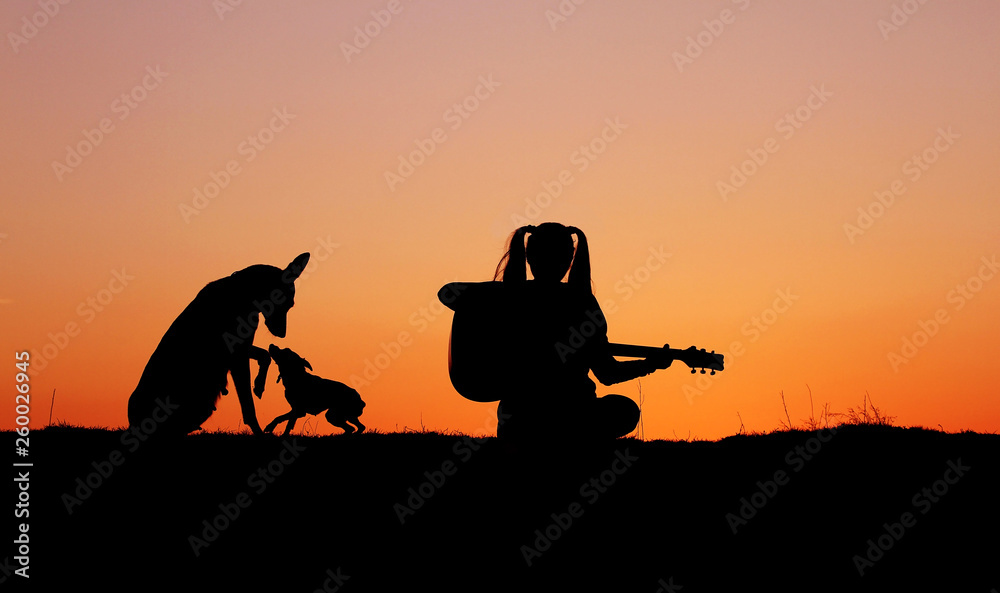 Obraz premium Silhouette girl guitarist on a sunset background, silhouettes of dogs of breed Belgian Shepherd Malinois and miniature pinscher, happy friends, outdoor