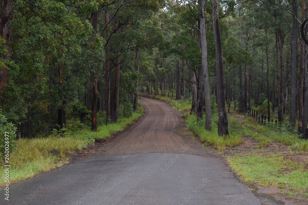 Closeup of a secluded wet sealed and unsealed rural road