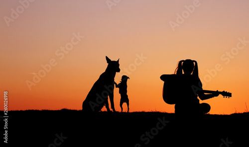 Silhouette girl guitarist on a sunset background, silhouettes of dogs of breed Belgian Shepherd Malinois and miniature pinscher, happy friends, outdoor