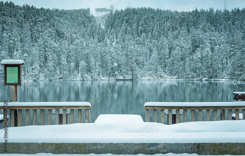 mummelsee im schwarzwald photo