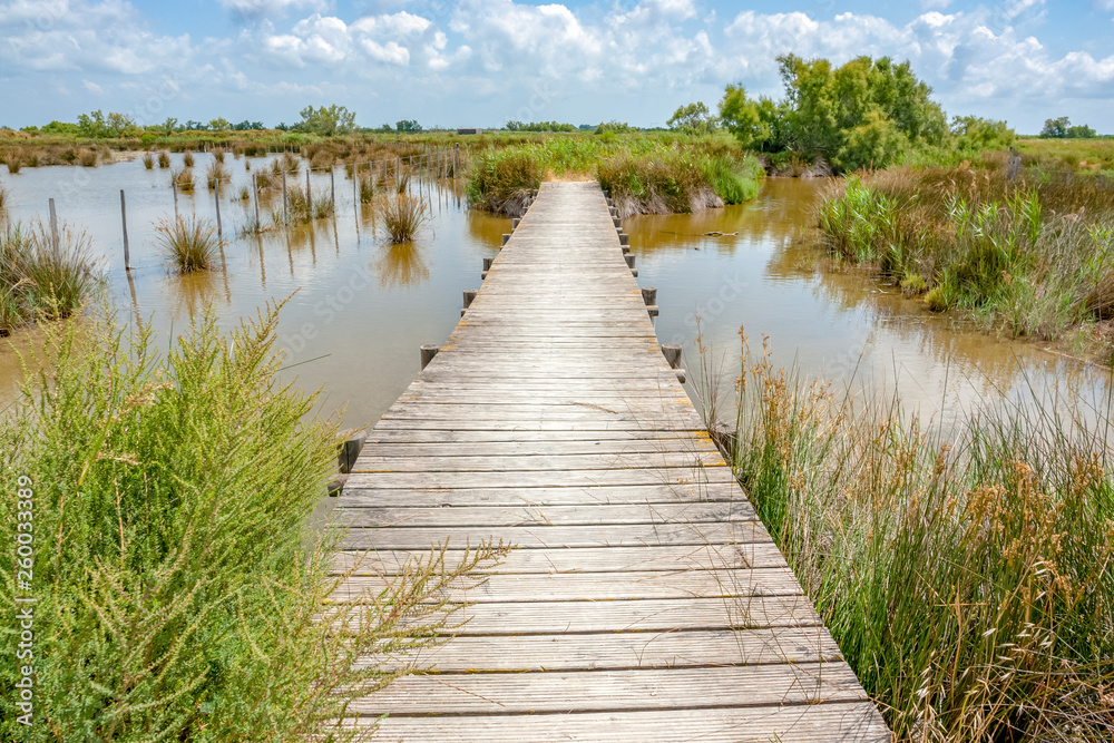 Obraz premium Regional Nature Park of the Camargue