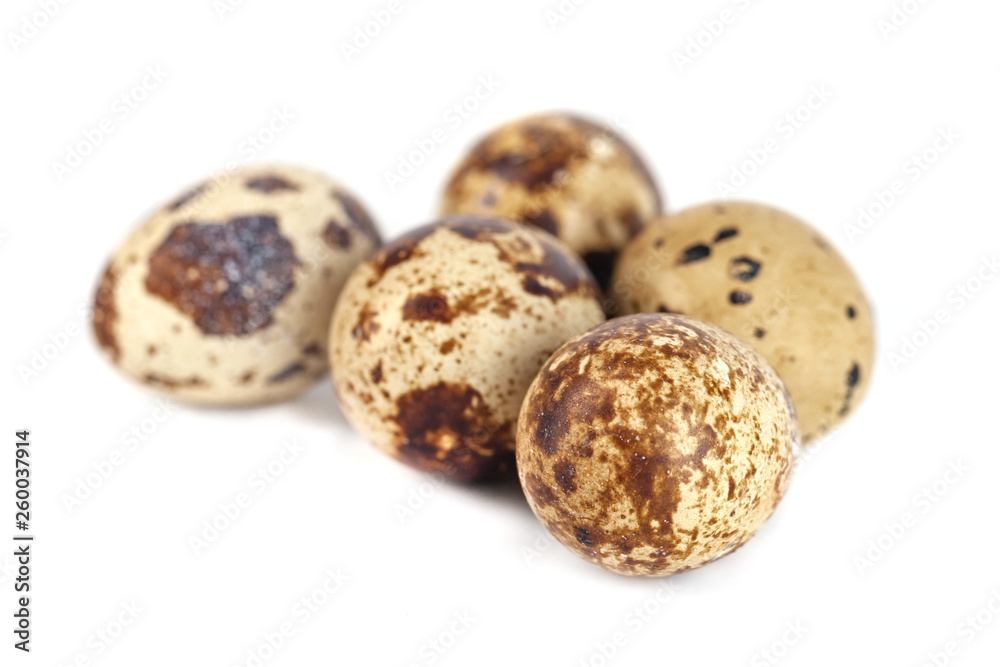 quail eggs isolated on white background. close up quail eggs isolated on white background. close up