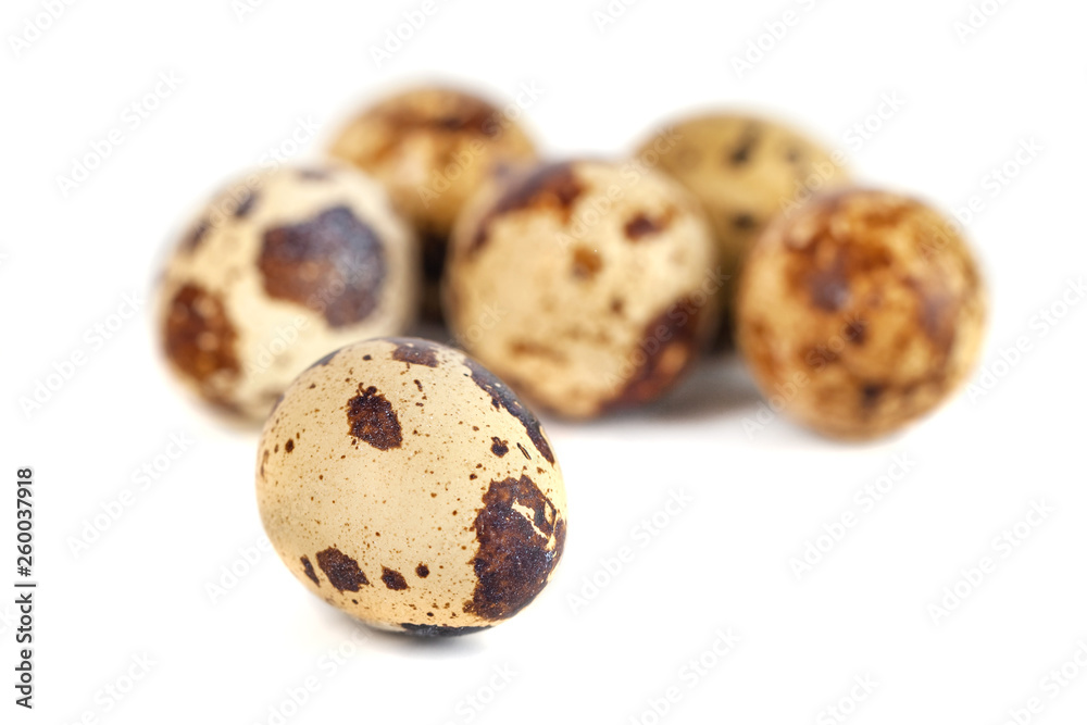 quail eggs isolated on white background. close up quail eggs isolated on white background. close up
